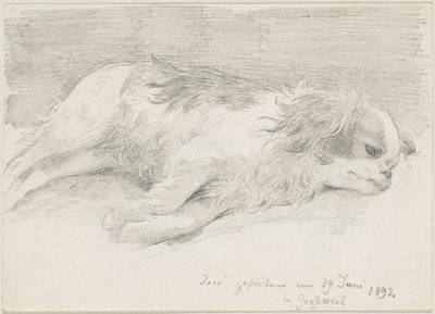Hundestudien von Friedrich August von Kaulbach