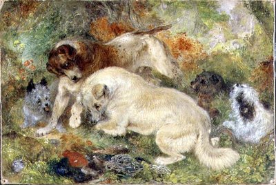 Terrier und Kaninchen im Wald von George Armfield