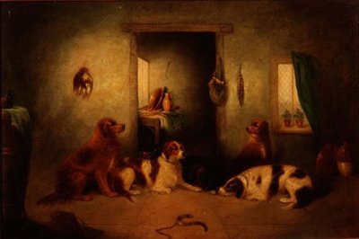 Die Küchendogs von George Armfield