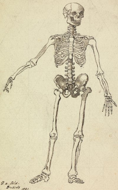 Zeichnung eines Skeletts von George Augustus Sala