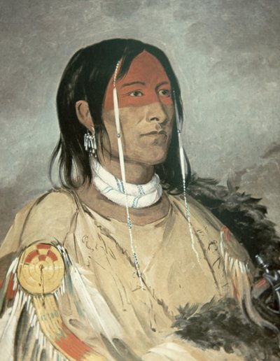 Gebrochener Arm von George Catlin