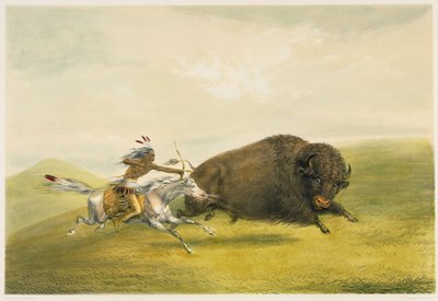 Büffeljagd (Farblithografie) von George Catlin
