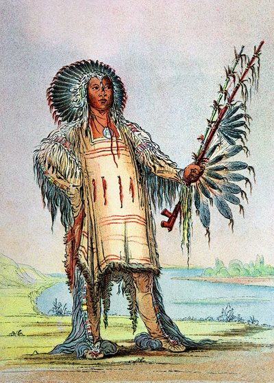 Mandan-Indianer Ha-Na-Tah-Muah, Wolfshäuptling von George Catlin