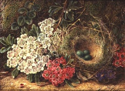 Stillleben mit Vogelnest von George Clare