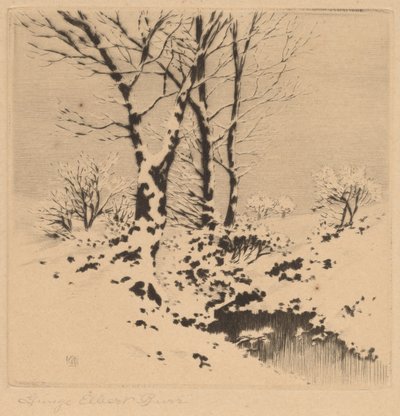 Schnee von George Elbert Burr