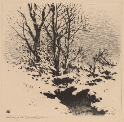 Der erste Schnee (Nr. 2) von George Elbert Burr