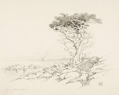 Ohne Titel von George Elbert Burr