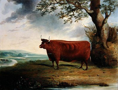 Porträt einer braunen Kuh von George Fenn