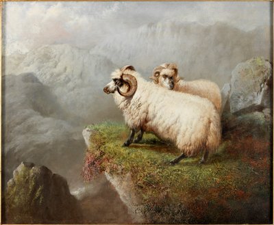 Schafe an einer Klippe, um 1865-68 von George Hepper