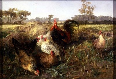 Hühner im Stoppel von George Hickin
