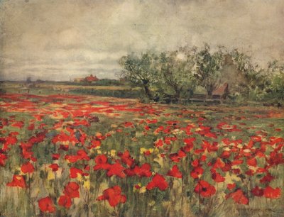 Das Mohnfeld, ca. 1900, ca. 1915 von George Hitchcock