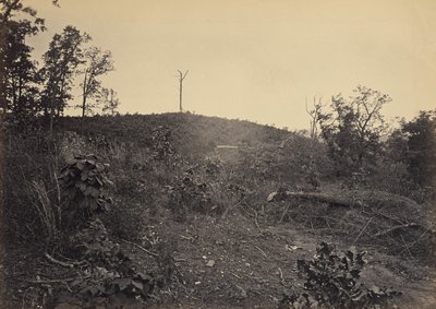 Pine Mountain von George N. Barnard