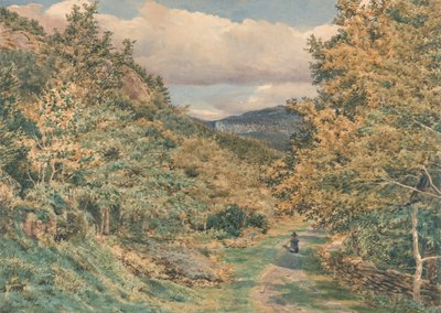 Eine Straße in der Nähe von Bettws-y-Coed von George Price Boyce