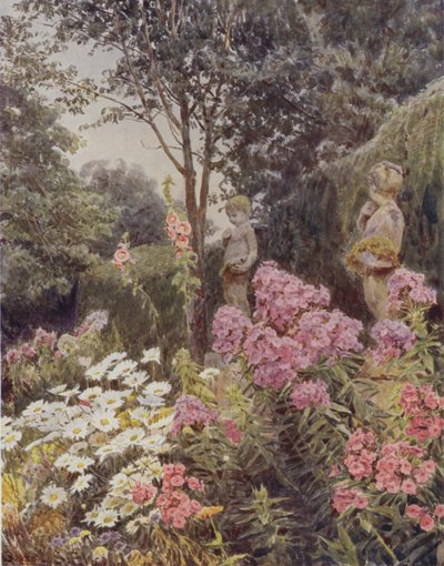 Phlox und Gänseblümchen von George Samuel Elgood