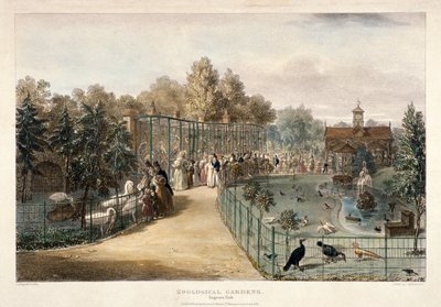 Zoologische Gärten, Regent
