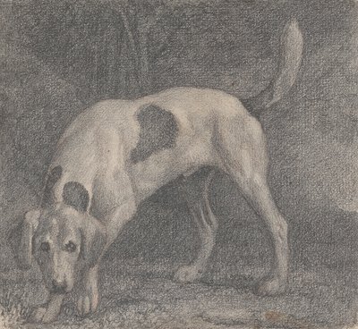 Ein Fuchshund auf der Fährte von George Stubbs