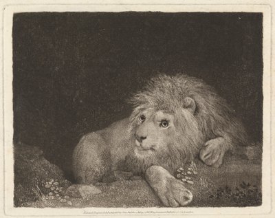 Ein Löwe [Ein liegender Löwe] von George Stubbs