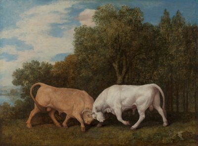 Kämpfende Stiere von George Stubbs