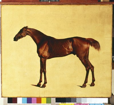 Pangloss von George Stubbs