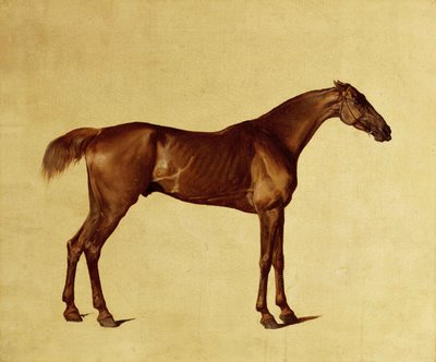 Rufus von George Stubbs