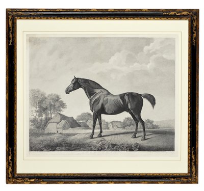 Heckenrose von George Townley Stubbs