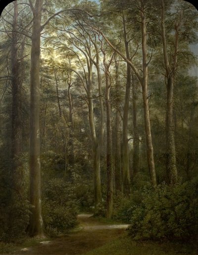 Die Wildnis, 1857 von George Augustus Wallis