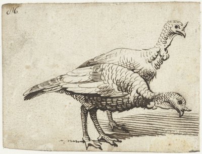 Zwei Truthähne von Gerard ter Borch (I)