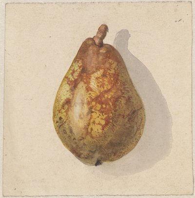 Birne von Gerardina Jacoba van de Sande Bakhuyzen