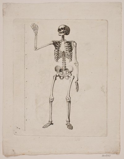 Skelett von Gerhard Ludvig Lahde