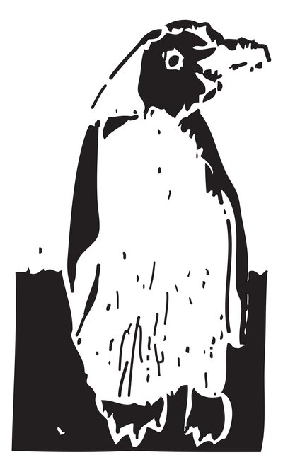 Pinguin von Gerhardt Isringhaus