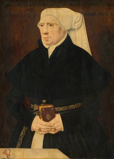 Porträt einer Dame von German 16th Century