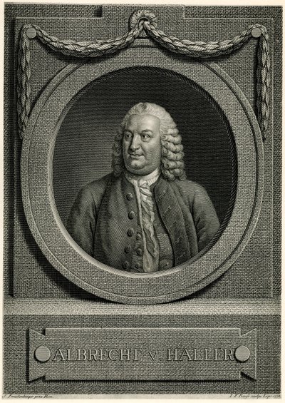 Albrecht von Haller von German School