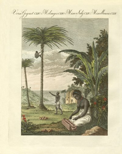 Szenen aus Afrika von German School