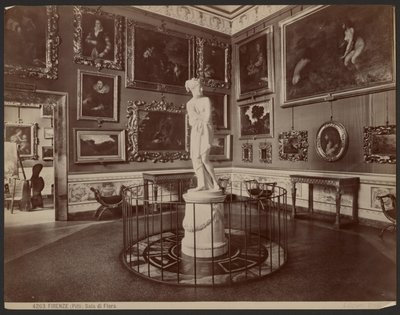 Florenz, Pitti, Saal der Flora von Giacomo Brogi