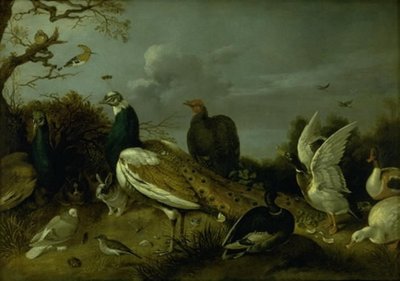 Pfauen, Enten und andere Tiere von Gijsbert Gillisz. de Hondecoeter