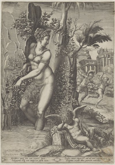 Venus und die Rose von Giorgio Ghisi