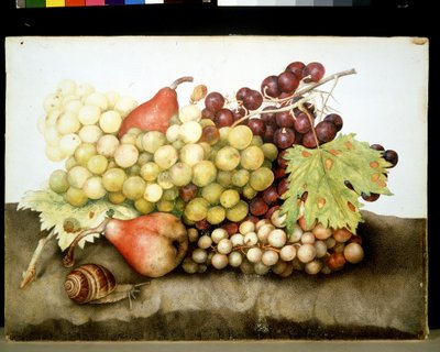 Unbekanntes Bild von Giovanna Garzoni