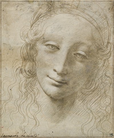 Kopf einer Frau von Giovanni Antonio Boltraffio