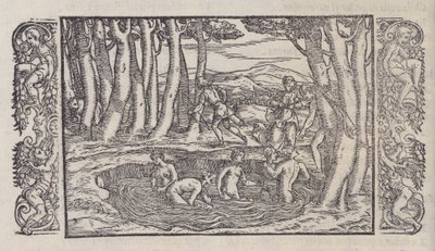 Le Trasformationi von Giovanni Antonio Rusconi