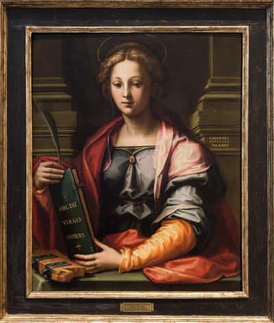 Heilige Katharina von Alexandria von Giovanni Antonio Sogliani