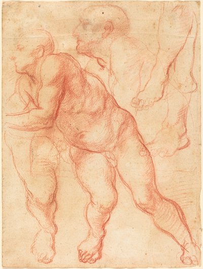 Studien eines männlichen Aktes von Giovanni Battista Naldini