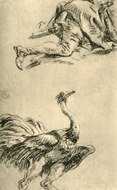 Ein laufender Strauß von Giovanni Battista Tiepolo
