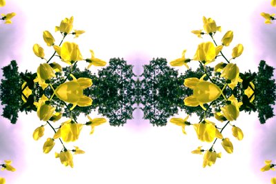 Unnatural 151.2 von Giovanni Cafagna