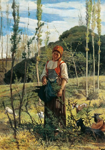 Bauer im Wald von Giovanni Fattori