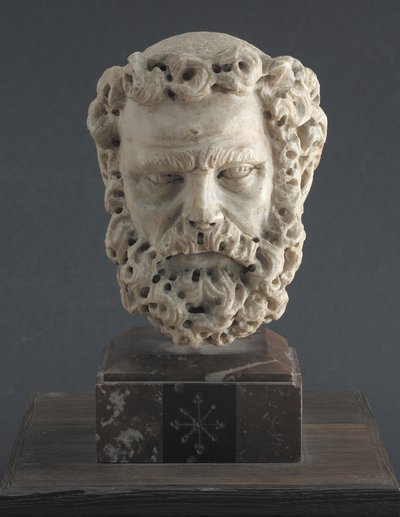 Kopf eines bärtigen Mannes von Giovanni Pisano