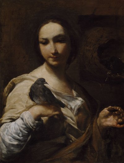 Mädchen mit einer Taube von Giuseppe Maria Crespi