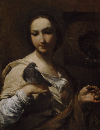 Mädchen mit einer Taube, 1721-27 von Giuseppe Maria Crespi