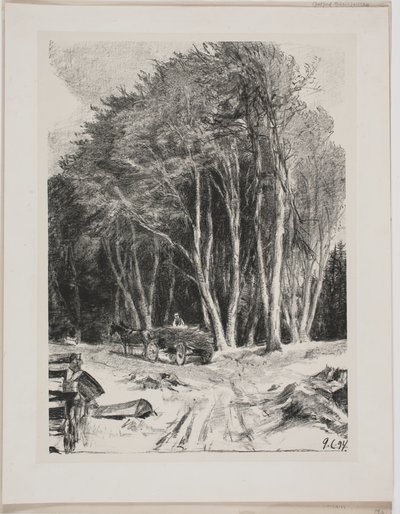 Holzfällerei von Godfred Christensen