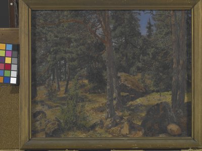 Eine Tannenbank von Gottfried Kallstenius