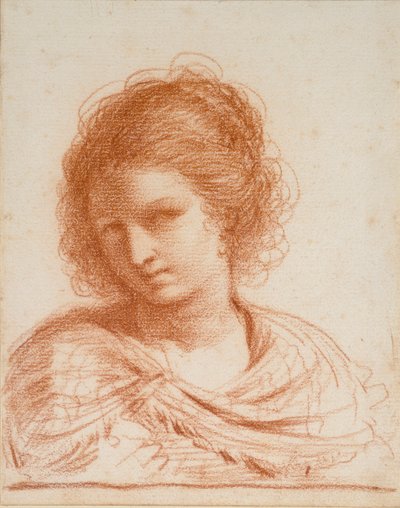 Kopf einer jungen Frau, 1550-1666 von Guercino